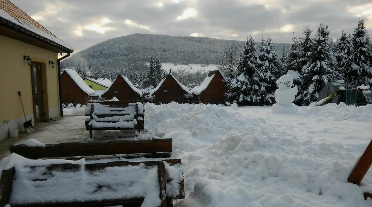 Villa Bobrowka Solina  Esterno foto