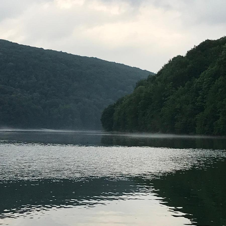 Villa Bobrowka Solina  Esterno foto